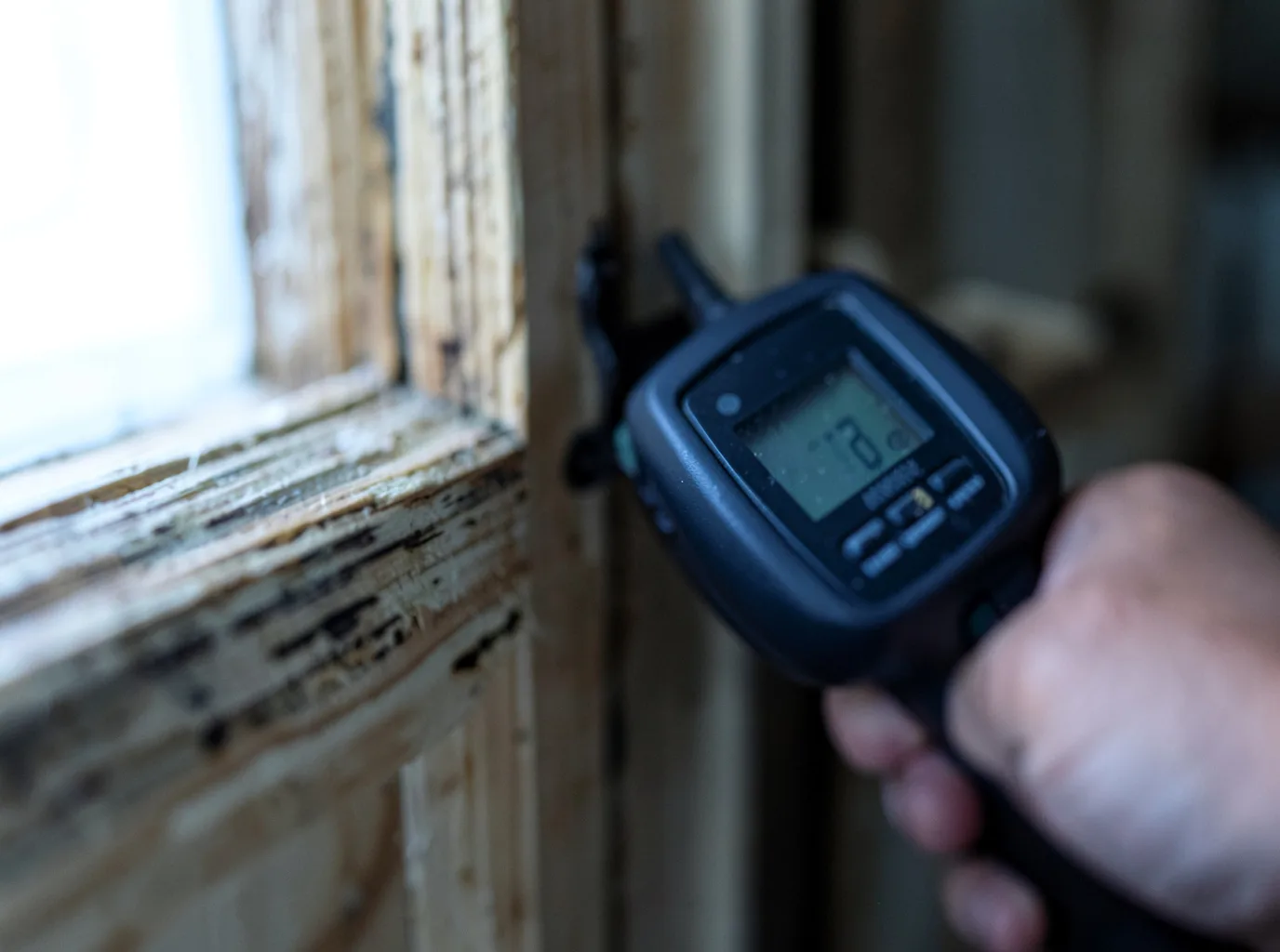 Moisture Inspection And Documentation in Clarkson, KY